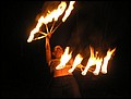 image115.jpg