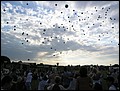 image176.jpg