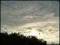image2063.jpg