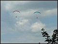 image2077.jpg