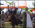 imagean017.jpg