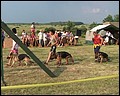 imagean026.jpg
