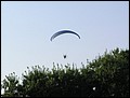 p7078629.jpg