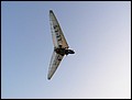 p7078686.jpg