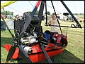 p7088879.jpg