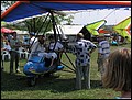 p7088905.jpg