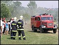 p7088962.jpg