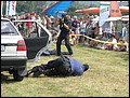 p7089020.jpg