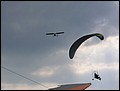p7089123.jpg