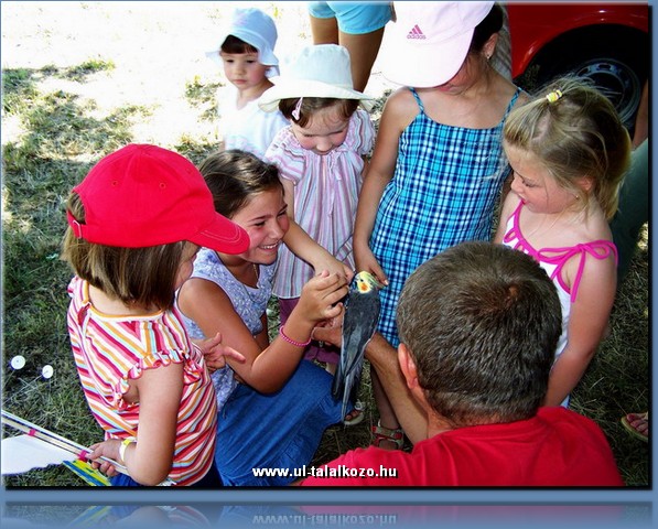 ult07-RetsagNet-0511