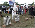 karate11.jpg