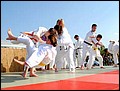 majlis6.jpg